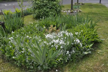 Resimli bir manzarada çeşitli bitki ve çiçeklerle güzel çiçek yatağı
