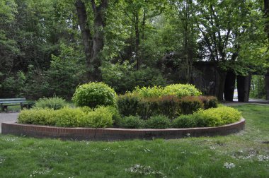 Resimli bir manzarada çeşitli bitki ve çiçeklerle güzel çiçek yatağı