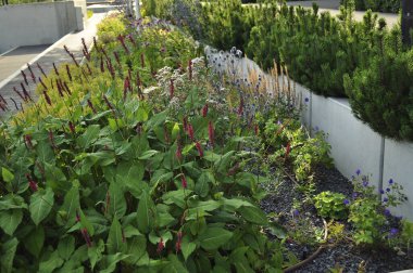 Resimli bir manzarada çeşitli bitki ve çiçeklerle güzel çiçek yatağı