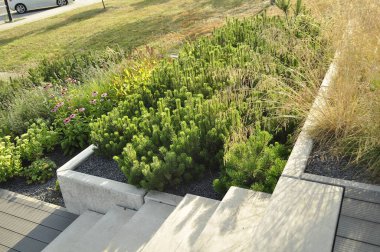 Resimli bir manzarada çeşitli bitki ve çiçeklerle güzel çiçek yatağı