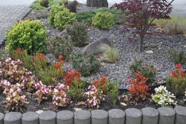 Resimli bir manzarada çeşitli bitki ve çiçeklerle güzel çiçek yatağı