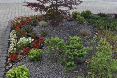 Resimli bir manzarada çeşitli bitki ve çiçeklerle güzel çiçek yatağı