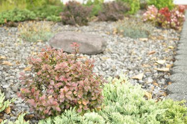 Beautiful Flower Bed with Diverse Plants and Flowers in a Picturesque Landscape clipart