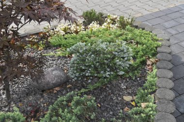 Resimli bir manzarada çeşitli bitki ve çiçeklerle güzel çiçek yatağı
