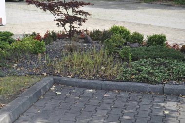 Canlı Çiçek Yatağı Bahçedeki Ağacın Çevresinde