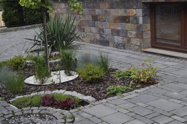 Resimli bir manzarada çeşitli bitki ve çiçeklerle güzel çiçek yatağı