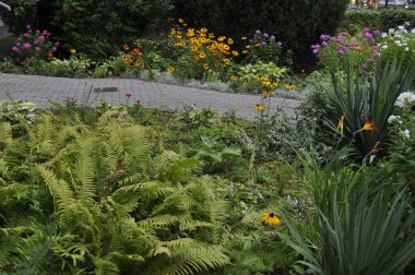 Resimli bir manzarada çeşitli bitki ve çiçeklerle güzel çiçek yatağı