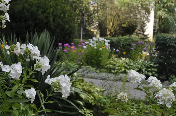 stock image Beautiful Flower Bed with Diverse Plants and Flowers in a Picturesque Landscape