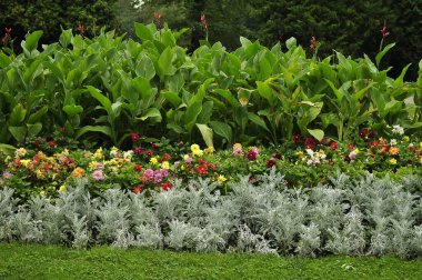 Resimli bir manzarada çeşitli bitki ve çiçeklerle güzel çiçek yatağı