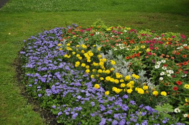 Resimli bir manzarada çeşitli bitki ve çiçeklerle güzel çiçek yatağı