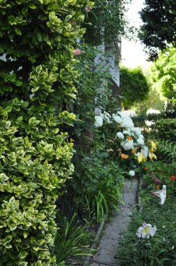 Manzaralı bir manzarada çeşitli bitki ve çiçeklerle dolu güzel bir bahçe.
