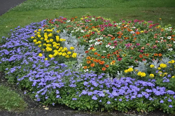 stock image Beautiful Flower Bed with Diverse Plants and Flowers in a Picturesque Landscape