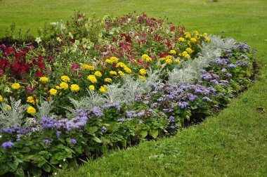 Bahçede çeşitli çiçekler ve bitkilerle çiçeklenmiş.. 