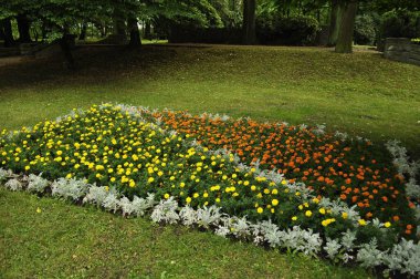  Çiçek açan sarı ve turuncu kadife çiçekleri çeşitli çiçek ve bitkilerle dolu bahçede.. 