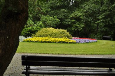  Çiçek açan sarı ve turuncu kadife çiçekleri çeşitli çiçek ve bitkilerle dolu bahçede.. 
