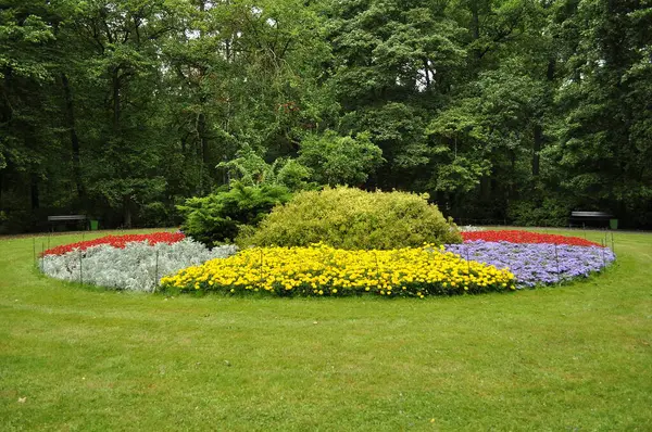 stock image  Yellow and Orange Marigolds in Bloom Flowerbed in the garden with various flowers and plants. 