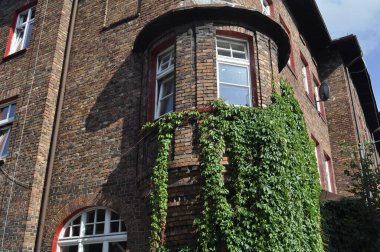 Katowice, Polonya 'da yeşil sarmaşıklarla kaplı eski bir ev.