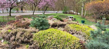 Bahar Arkaplanında Çiçekli Ağaçlar