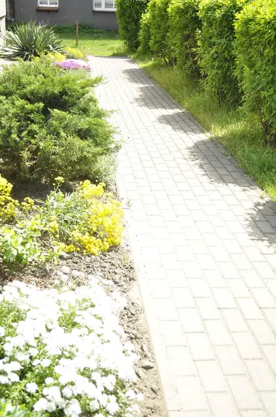 Bahçede beyaz çiçekler ve yeşil çimlerle güzel bir manzara.