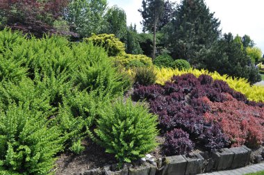 Yeşil, sarı ve kırmızı tonlarda dekoratif çalıları olan renkli bir manzara.