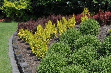 Yeşil, sarı ve kırmızı tonlarda dekoratif çalıları olan renkli bir manzara.