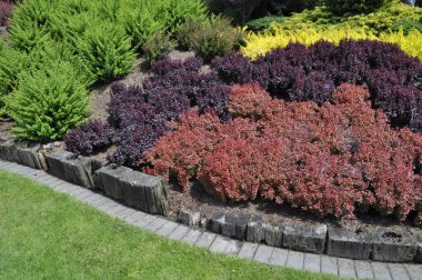 Yeşil, sarı ve kırmızı tonlarda dekoratif çalıları olan renkli bir manzara.