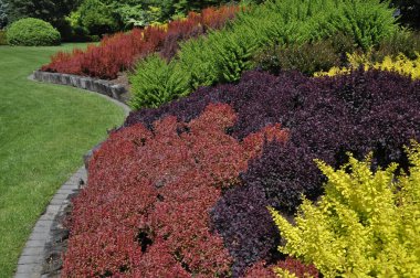Yeşil, sarı ve kırmızı tonlarda dekoratif çalıları olan renkli bir manzara.