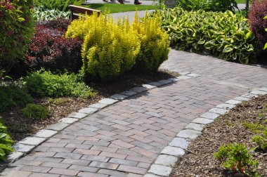 Yeşil, sarı ve kırmızı renklerde süslü çalıları olan canlı bahçe manzarası, renkli yaprak bitkileri, peyzaj parkı, dekoratif çalılıklar. 