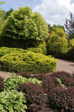 Yeşil ağaçlar ve çalılarla dolu park.