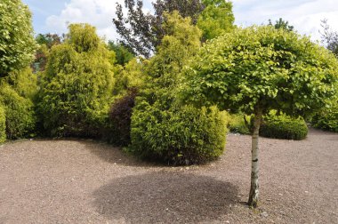 Parkın güzel manzarası