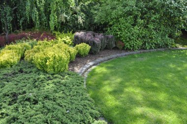 Kozalaklı Bahçe ve Dekoratif Ağaçlar