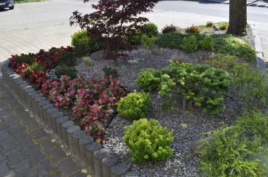 Kozalaklı Bahçe Çalıları, Süslü Ağaçlar ve Zengin, Yapılandırılmış ve Güzel Her Mevsim Açık Alan İçin Dekoratif Elementler