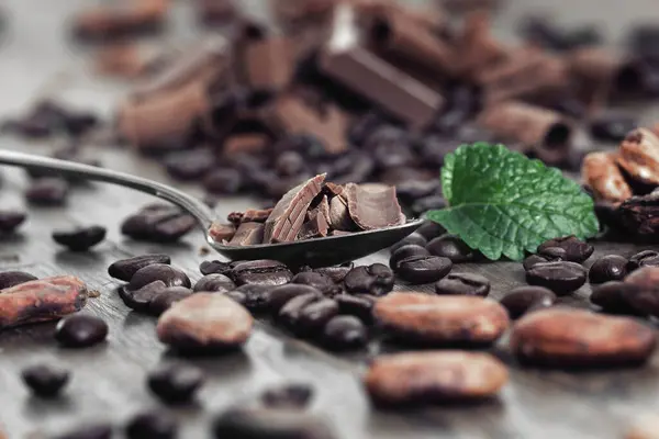 Broken Dark Chocolate Cocoa Beans Table Imágenes de stock libres de derechos