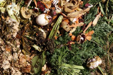 Gübre. Gübre ve sıkıştırılmış toprak döngüsü gübre haline gelen meyve ve sebze atıklarıyla birlikte çürüyen mutfak artıkları ve organik gübre yığınıdır.