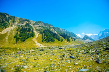 Mavi gökyüzü ile Rocky yeşil dağ vadisi