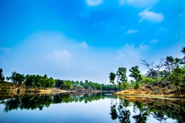 Madhabpur çay bahçesinin yansıması ve göldeki rezerv ormanın