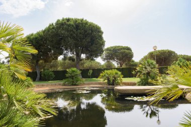 Jose Celestino Mutis Botanik Parkı, La Rabida, Huelva 'da çeşitli bitkilerle çevrili su zambaklarıyla dolu sakin bir gölet..