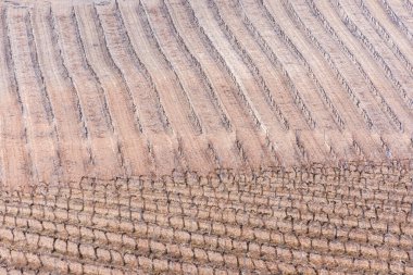 Ribera del Duero üzüm bağlarının hava görüntüsü karanın eşsiz desenlerini ve dokularını sergiliyor..