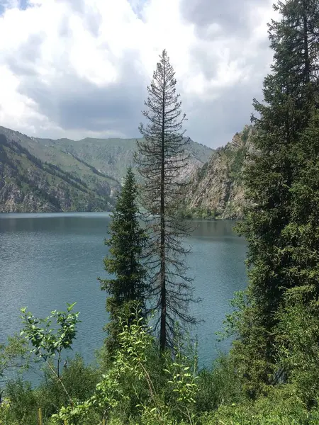 Kırgızistan 'ın doğası, Sary Chelek Gölü