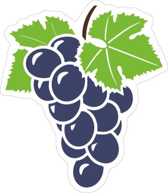Üzüm, meyve, üzüm vektörü, yiyecek