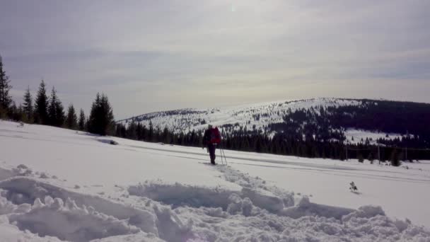 Caminhante Procurando Sinal Telefone Celular Área Remota Montanha Floresta Inverno — Vídeo de Stock