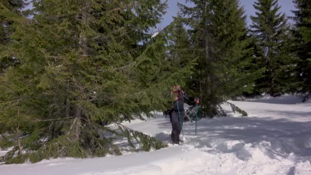 Caminhante Procurando Sinal Telefone Celular Área Remota Montanha Floresta Inverno — Vídeo de Stock