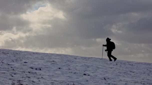 Man Hiking Snow Blizzard Cold Winter Trekking Walking Male People — Stock Video