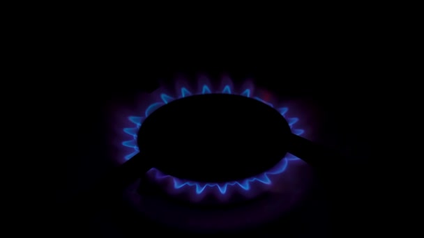 Газ Включается Появляется Голубое Пламя Газовая Плита Черном Фоне — стоковое видео
