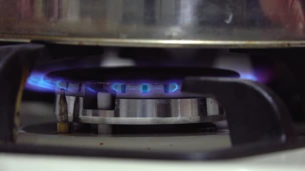 Gas Schaltet Sich Ein Eine Blaue Flamme Steigt Auf Gasherd — Stockvideo