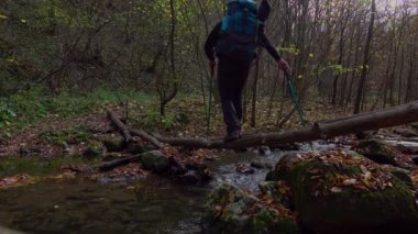 Sırt çantasıyla nehri geçen aktif bir adam orman yolunda renkli yapraklarla kaplı bir şekilde dağcılık yapıyor.