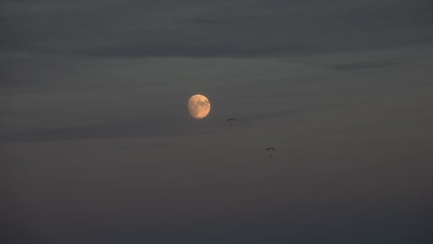 两个滑翔伞在夜空中 满月在后面 — 图库视频影像