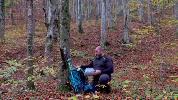Randonneur Âge Moyen Mangeant Sandwich Dans Les Bois Après Une — Video