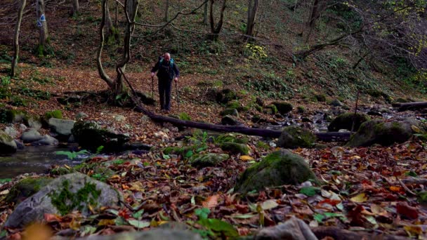 Sırt Çantasıyla Nehri Geçen Aktif Bir Adam Orman Yolunda Renkli — Stok video