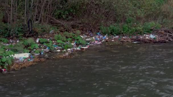 Contaminación Río Montaña Través Del Bosque — Vídeo de stock
